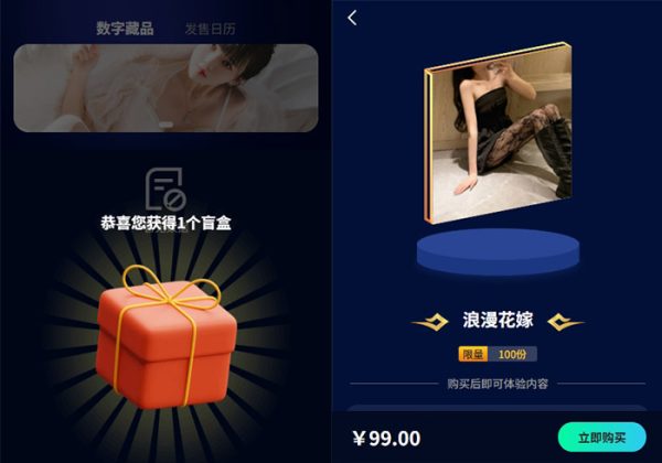 数字藏品潮玩NFT平台数字艺术APP小程序系统源码艺术品交易平台开发区块链虚拟收藏-金领云创科技-私域系统官网