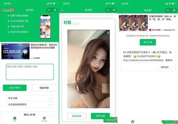 2025去水印小程序源码可对接完整流量主广告可直接运营去水印小程序流量主神器搭建去水印源码-金领云创科技-私域系统官网