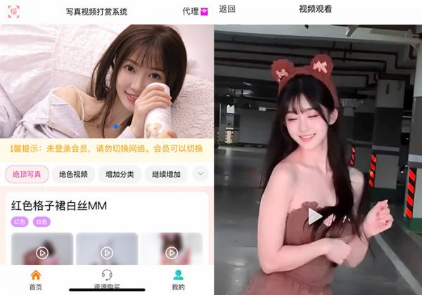 2024最新美女写真图片视频打赏系统源码美女视频写真图片大全网站打赏系统源码全开源无加密完整可用-金领云创科技-私域系统官网